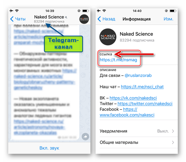 Telegram для iOS - ссылка на канал (паблик) в мессенджере на экране Информация